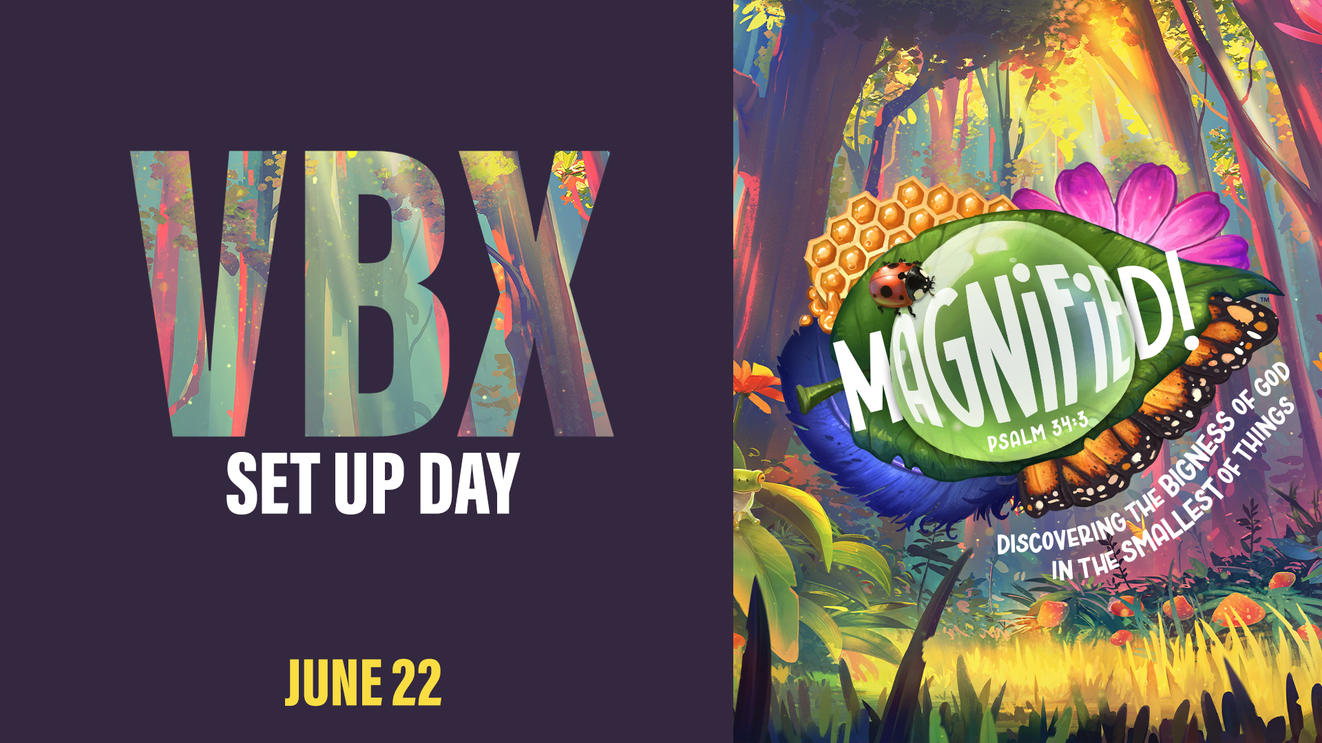 VBX Set Up Day